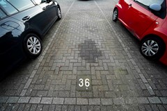 Vwonen Paulus Potterstraat 90 Den Haag  (34).jpg